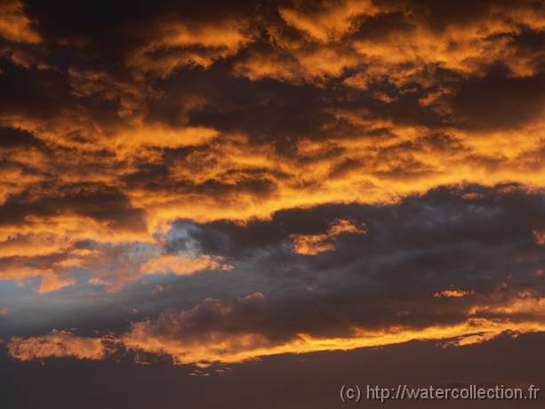 2004-09-15 19-31-35 Nature 120,0mm 1_80_eme F5,0 